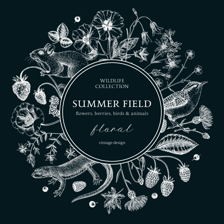 Summer background on chalkboard. Floral wreath design in vintage style. Wildflowers botanical illustration. Hand-drawn field of flowers, birds, and animals for wedding invitation, decoration.